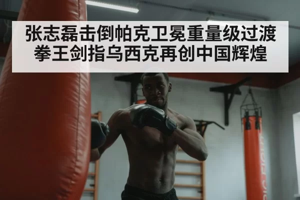 张志磊击倒帕克卫冕重量级过渡拳王剑指乌西克再创中国辉煌