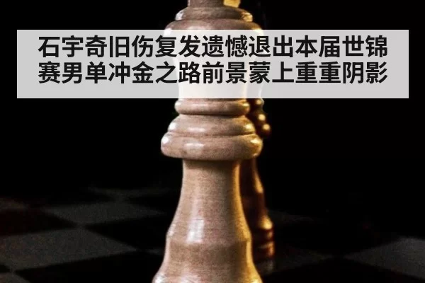 石宇奇旧伤复发遗憾退出本届世锦赛男单冲金之路前景蒙上重重阴影